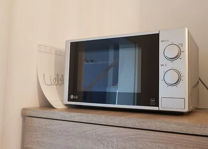 Apartamento Petit Bagage *